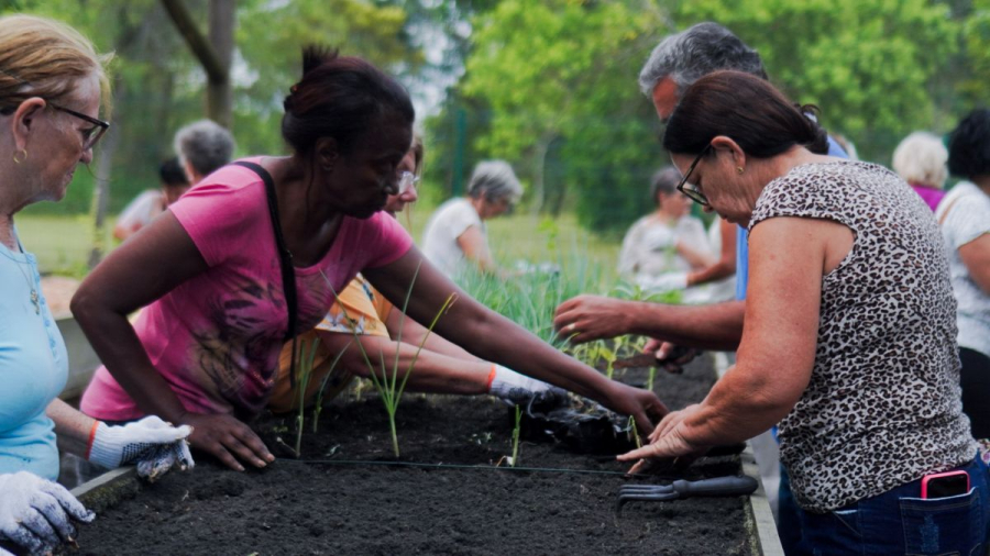 Horta dos Saberes: quando a horta vira remédio contra o isolamento na terceira idade