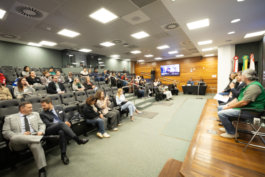 Audiência pública debate desafios enfrentados pela população migrante em Santa Catarina