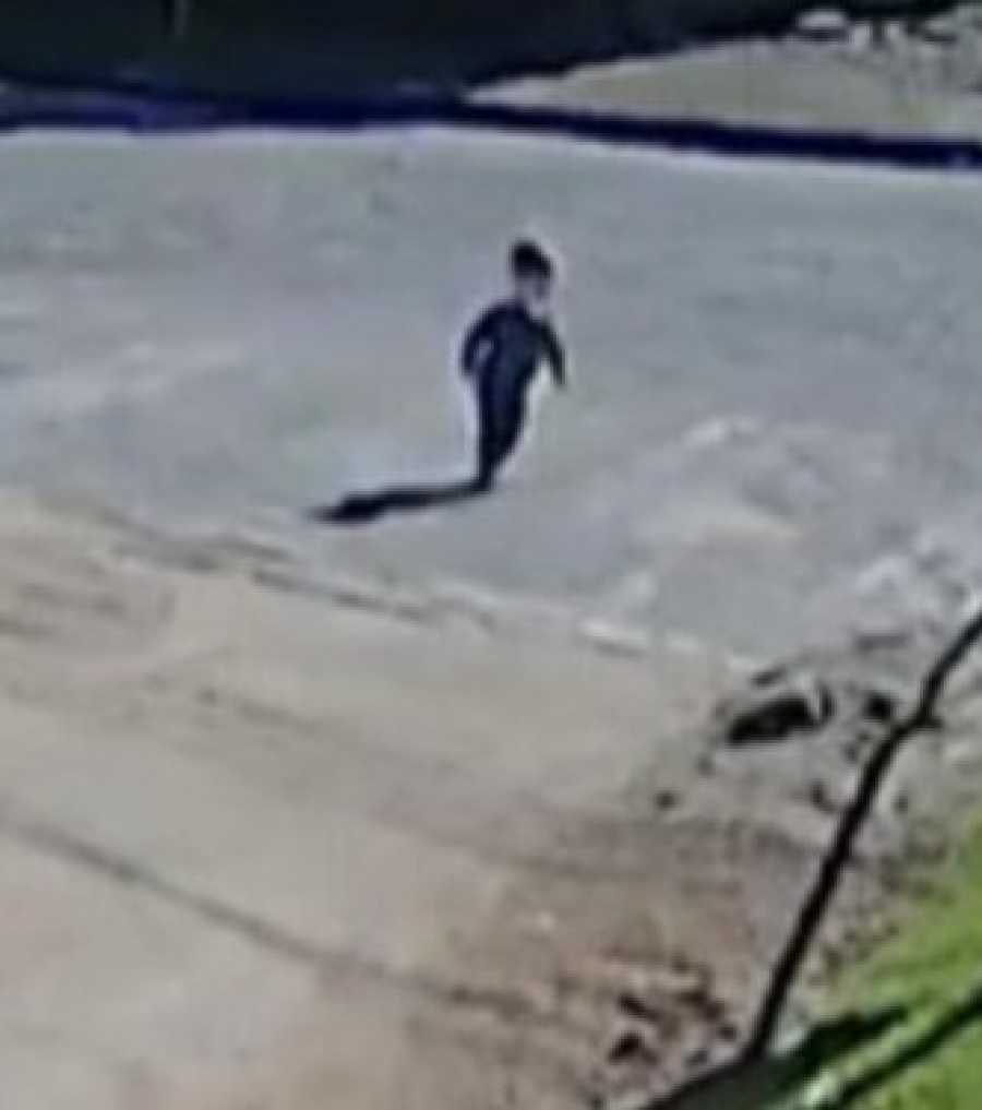 Prefeitura de Braço do Norte afasta vigilante e exonera diretora após conclusão de inquérito policial